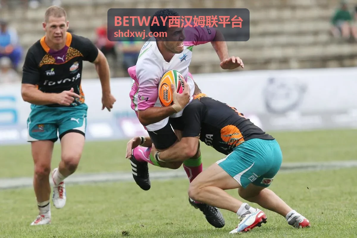 BETWAY西汉姆联平台核心服务展示