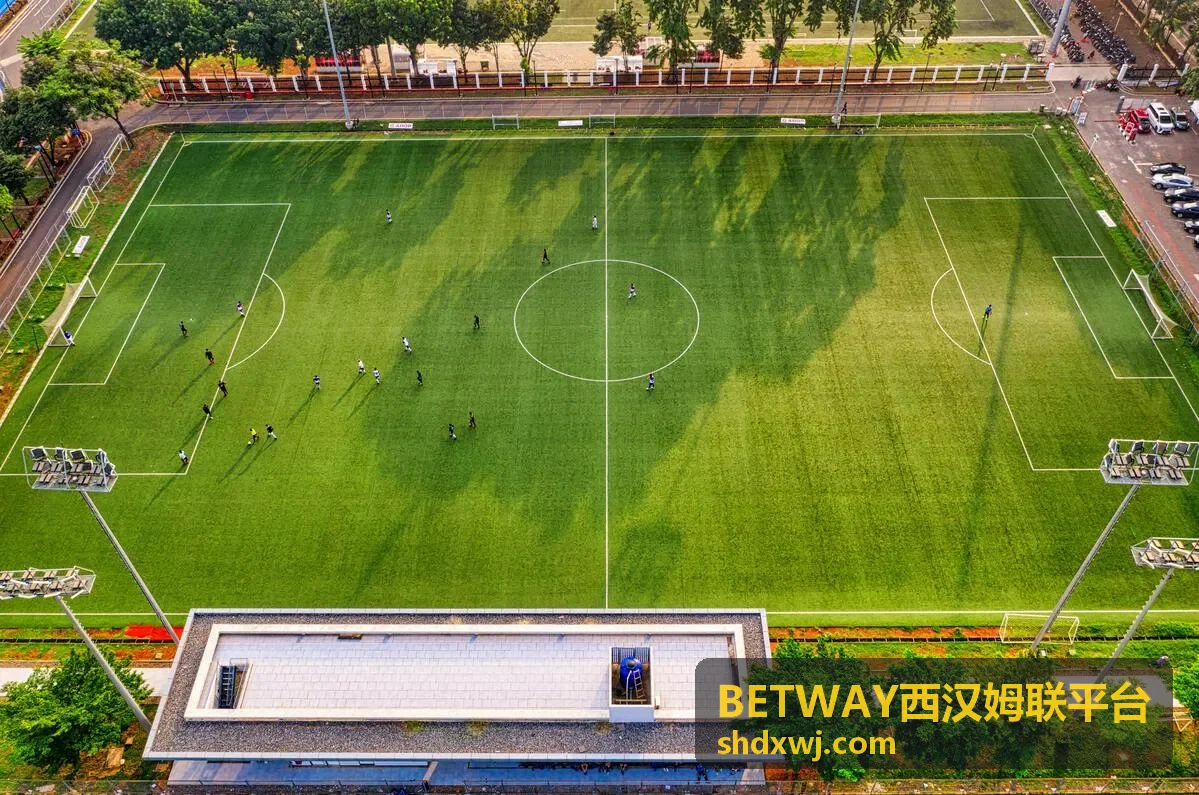 BETWAY西汉姆联平台智能分析