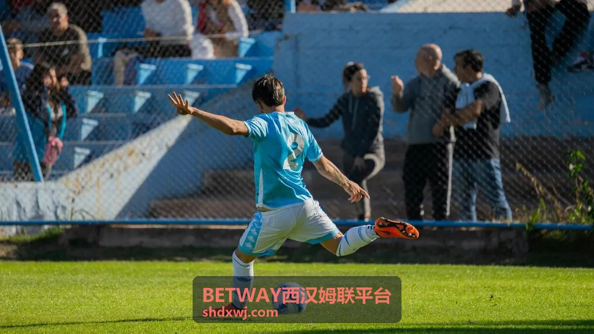 BETWAY西汉姆联平台战略咨询