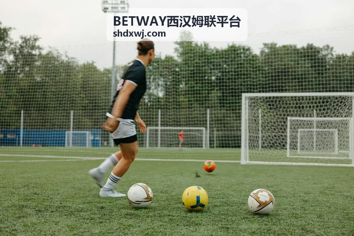 BETWAY西汉姆联平台运营支持