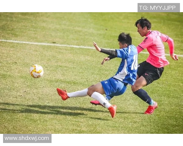 杨旭在足球场上的奋斗历程与成就解析,如何成为中国足球的代表性人物 杨旭在足球场上的奋斗历程与成就解析,如何成为中国足球的代表性人物